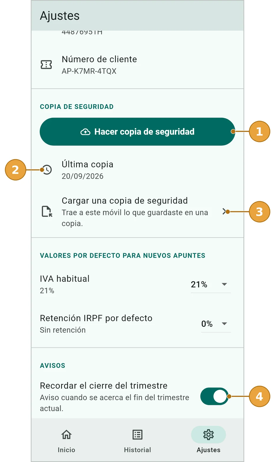 Ajustes: la copia de seguridad